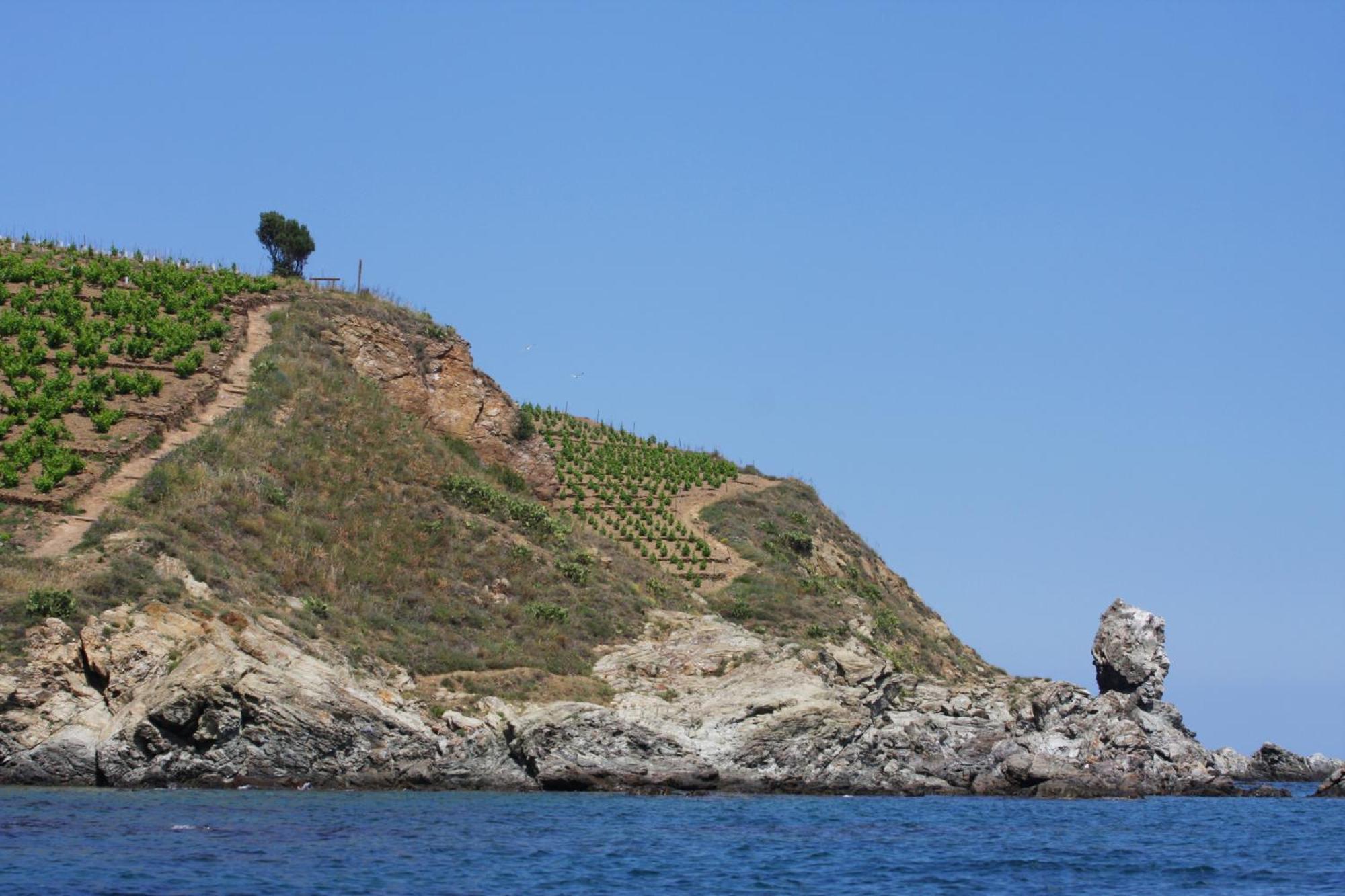 Logis Hotel Solhotel Banyuls-sur-Mer Exterior photo
